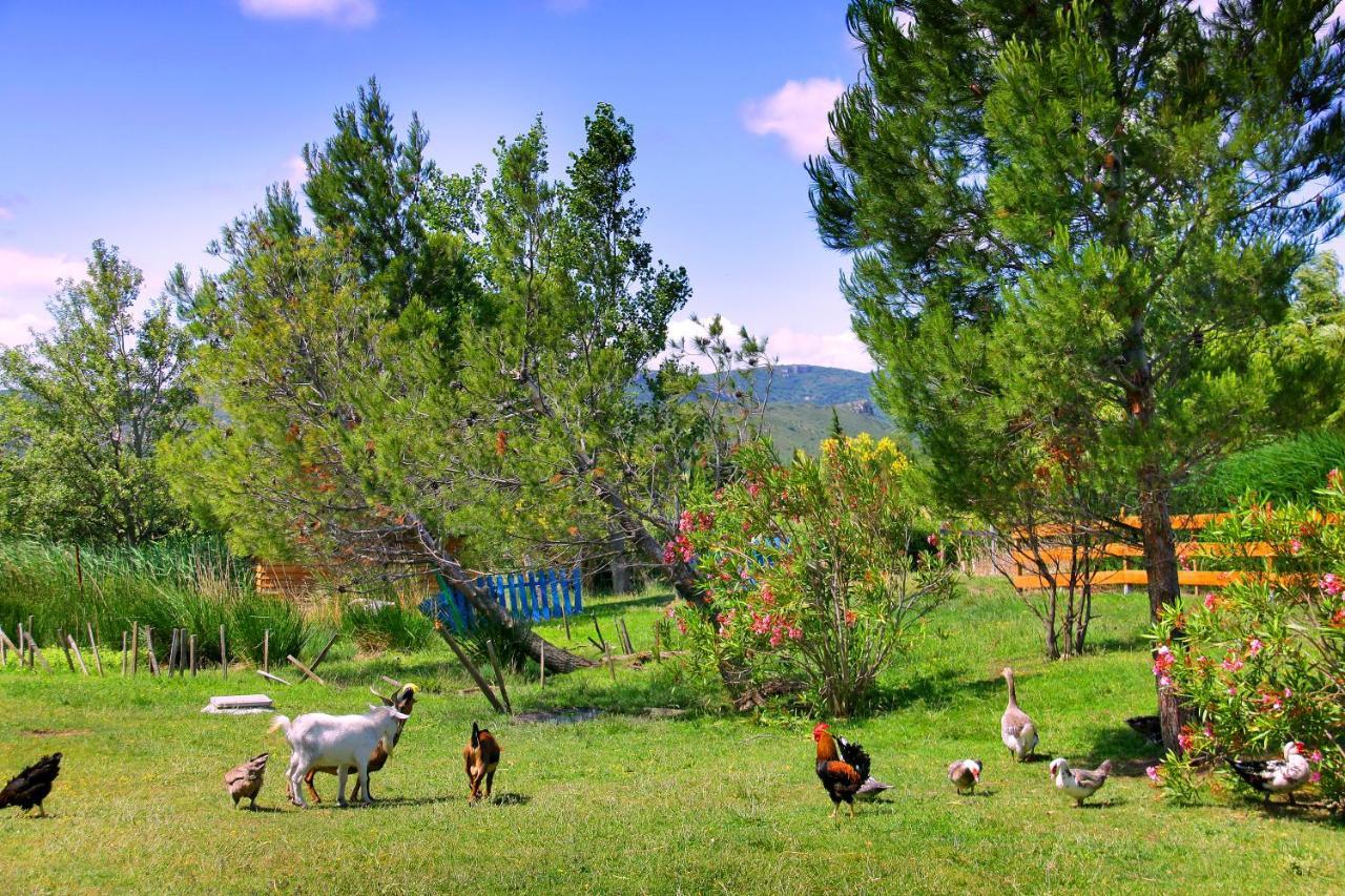 Camping La Peiriere Tuchan Экстерьер фото